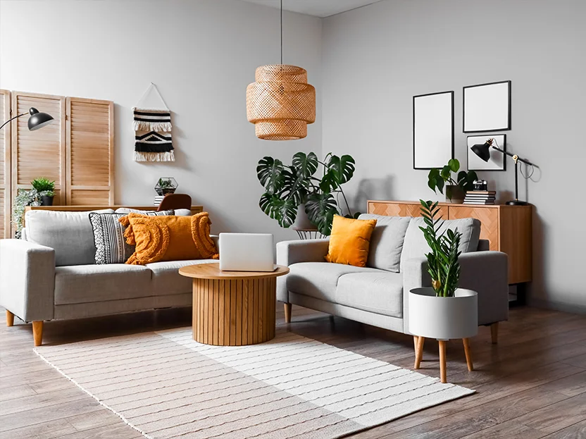 Zeytinalanı Dekorasyon